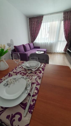 Andrei Apartment Brasov